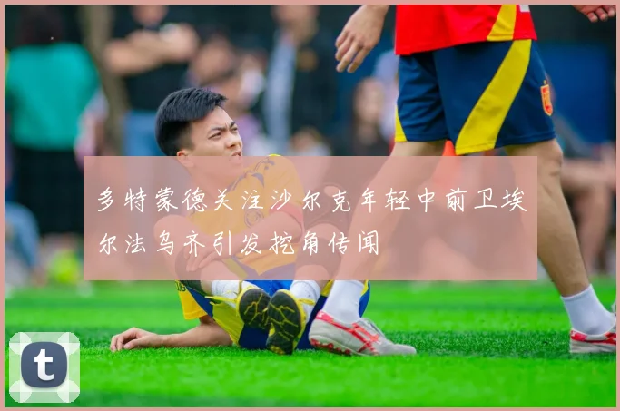 多特蒙德关注沙尔克年轻中前卫埃尔法乌齐引发挖角传闻