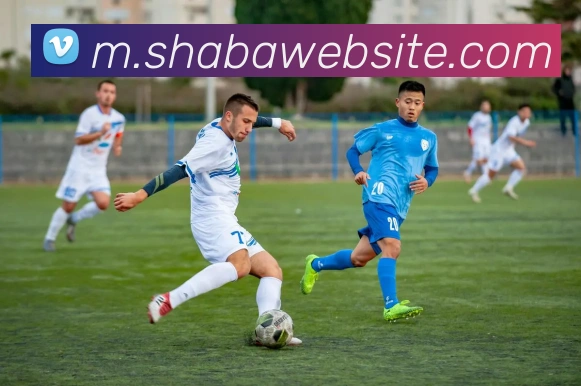 多媒体互动体验